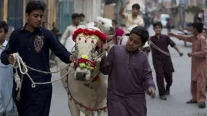 eid-ul-azha-one-of-pakistans-top-informal-economies-with-over-half-a-trillion-free-cash