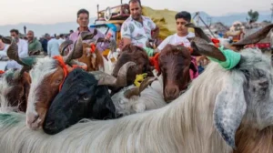several-popular-picnic-spots-in-provincial-capital-closed-for-public-on-eid-ul-azha