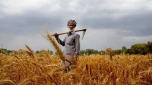 govt-under-imf-pressure-to-increase-tax-on-farmers-income-starting-july