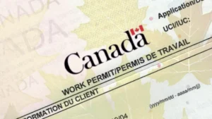 canada-gives-update-on-work-permit-wait-time-for-pakistanis