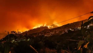 cda-pulls-all-nighter-to-contain-wildfires-in-islamabads-most-prominent-location