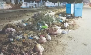 karachi-faces-severe-sanitation-crisis-during-eid-ul-azha-amid-waste-mismanagement