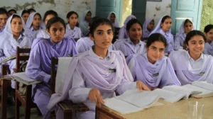 hed-to-set-up-counseling-centers-in-govt-colleges