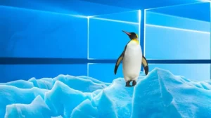 windows-11-continues-to-gain-users-as-linux-falls-behind-on-steam
