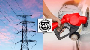 imf-orders-pakistan-to-cancel-all-fuel-and-electricity-subsidies-in-next-budget