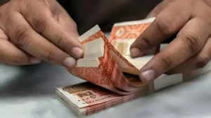 money-managers-ask-govt-to-make-savings-market-attractive-for-local-investors