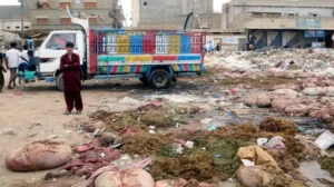 punjab-announces-rs-50000-fine-for-dumping-animal-waste-during-eid