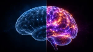 here-is-why-some-brains-can-switch-gears-faster-than-others