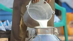 milk-and-yogurt-prices-increased-in-rawalpindi