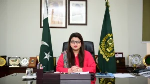 pakistans-it-exports-on-track-to-hit-record-4-5-billion-shaza