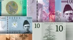 new-currency-notes-may-get-delayed-sbp-chief