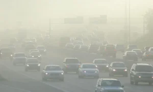 oxygenix-tree-approved-to-strengthen-punjabs-fight-against-smog