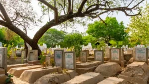 rawalpindi-launches-free-burial-and-food-service
