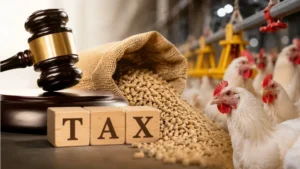 court-declares-4-extra-tax-on-unregistered-poultry-farms-illegal