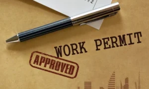 uae-launches-major-work-permit-reforms