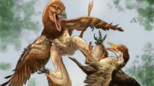 rare-120-million-year-old-fossil-reveals-four-winged-dinosaur-species