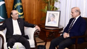 president-zardari-calls-for-growth-oriented-budget-that-protects-provincial-rights
