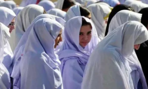 kp-announces-summer-vacations-for-colleges-and-universities-2