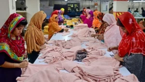 punjab-allocates-rs-310-million-for-she-threads-program-for-rural-women