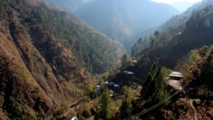 peshawar-high-court-orders-kp-govt-to-restore-galiyat-forest-land-within-3-months