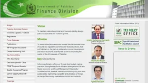 finance-ministry-website-crashed-during-economic-survey-reveal