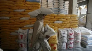 govt-approves-50000-more-tons-of-wheat-for-khyber-pakhtunkhwa