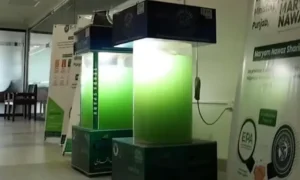 punjab-introduces-pakistans-first-ai-powered-liquid-tree-project