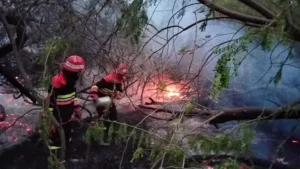 massive-fire-destroys-up-to-35-acres-of-forest-area-in-national-park