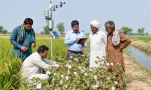 fao-expands-climate-resilient-agriculture-project-across-punjab-and-sindh