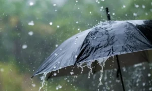 pakistan-to-experience-above-normal-monsoon-rains-this-year