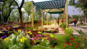 34-public-parks-in-peshawar-are-getting-a-rs-1-billion-makeover