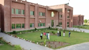 university-of-veterinary-and-animal-sciences-announces-multiple-vacancies