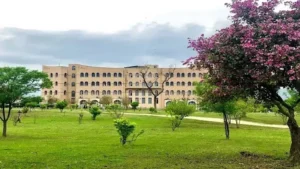 aiou-to-launch-chinese-language-and-culture-center