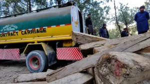 senate-panel-halts-timber-transport-licenses-in-gilgit-baltistan