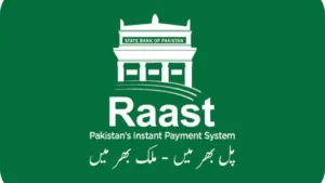 raast-powered-electricity-bill-payment-system-launched