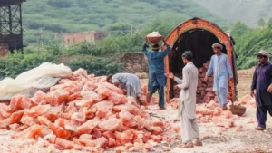 punjab-launches-pink-salt-value-addition-financing-scheme-with-loans-up-to-rs-5-crore