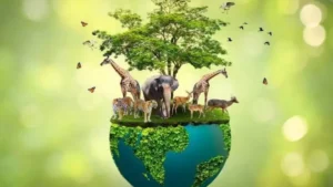 pakistani-researcher-wins-prestigious-wildlife-conservation-award