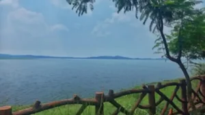 rawal-lake-loses-nearly-50-of-trees-in-2-decades