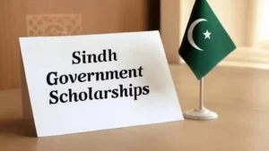 sindh-launches-20000-google-career-certificate-scholarships