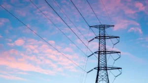 govt-bans-union-activities-in-power-sector-for-6-months