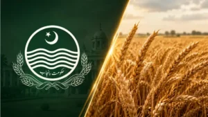 punjab-misses-wheat-target-as-aggregator-model-fails-and-grain-flows-to-sindh-kp