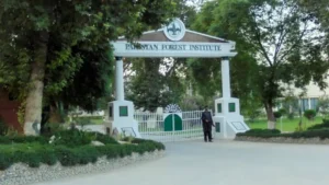 pakistan-forest-institute-announces-admissions-for-bs-forestry-program