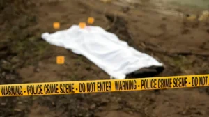 4-pakistani-businessmen-reportedly-killed-in-alleged-targeted-attack-in-south-africa