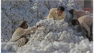 pakistan-cotton-industry-flags-under-invoiced-chinese-fabric-flooding-local-markets