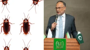 pakistanis-are-not-cockroaches-ahsan-iqbal