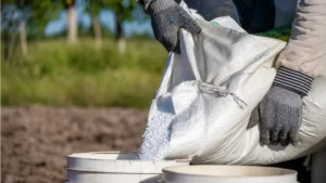 huge-decline-in-urea-sales-expected