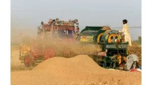 govt-eyes-tax-free-wheat-imports
