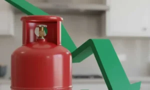 lpg-prices-could-rise-again-under-the-govts-new-plan