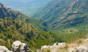 islamabad-to-get-a-forest-bigger-than-f-9-park